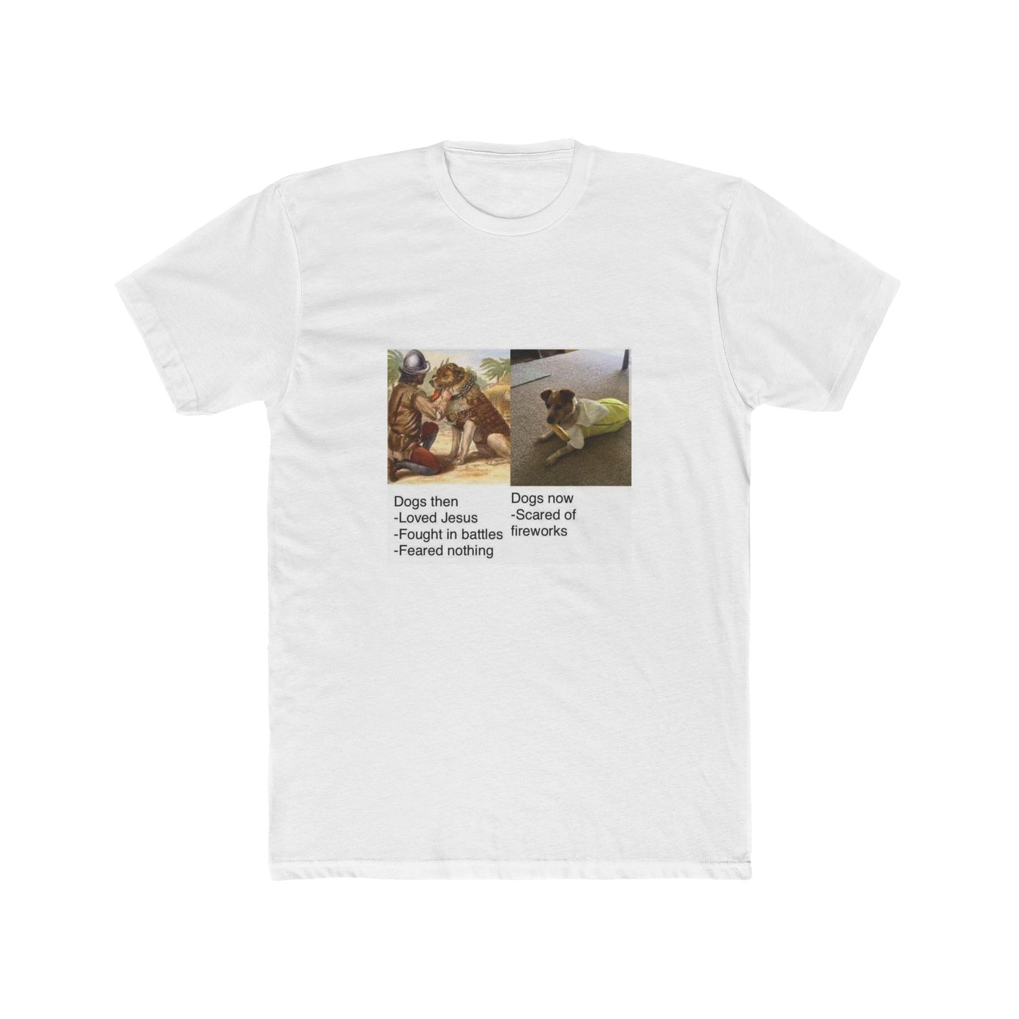Facts are facts - meme on a T-shirt